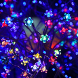 LED Lights in multicolor